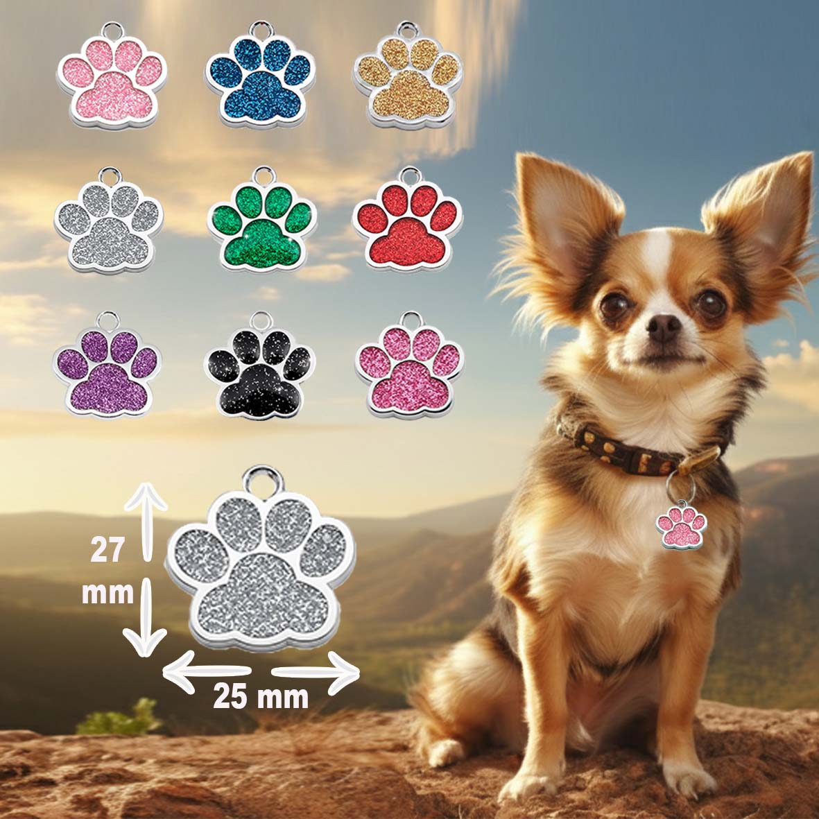 Médaille pour animal en acier inoxydable